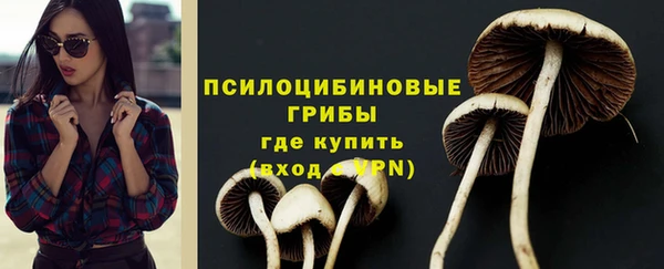 spice Арсеньев