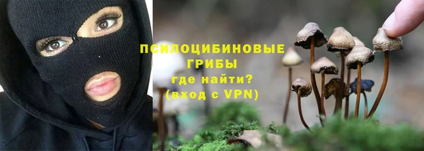 spice Арсеньев